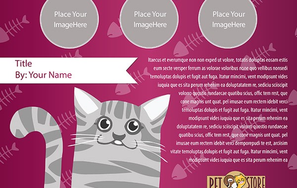 Grey Cat, Pink Fish – Landscape